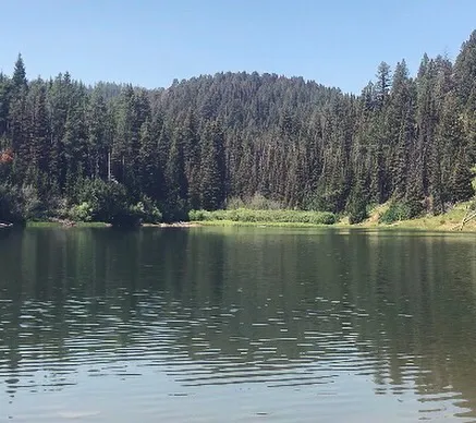 Packsaddle Lake
