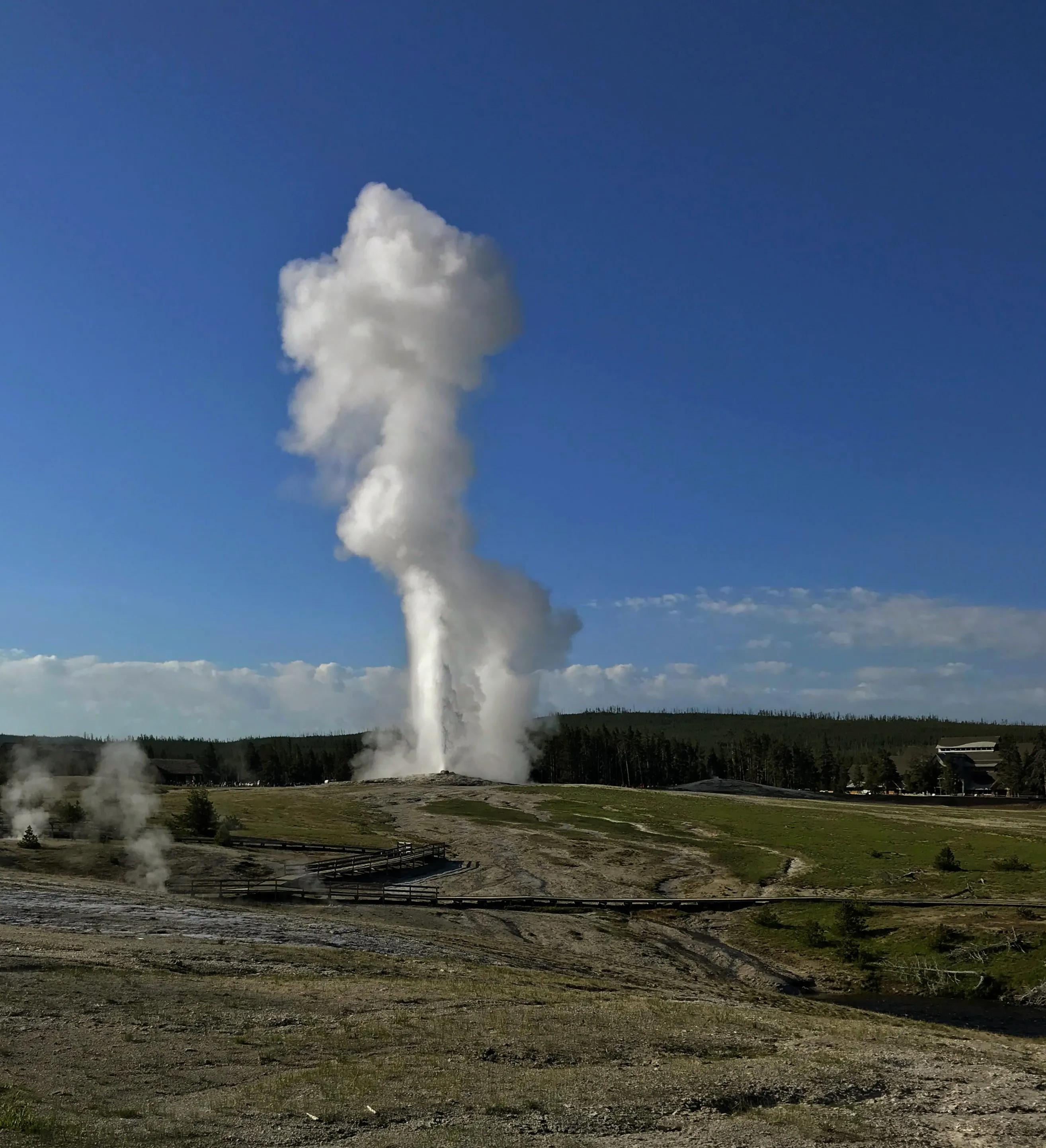 Old Faithful