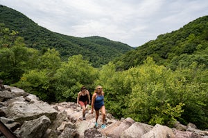 Thousand Steps Trail to Dinky Shed