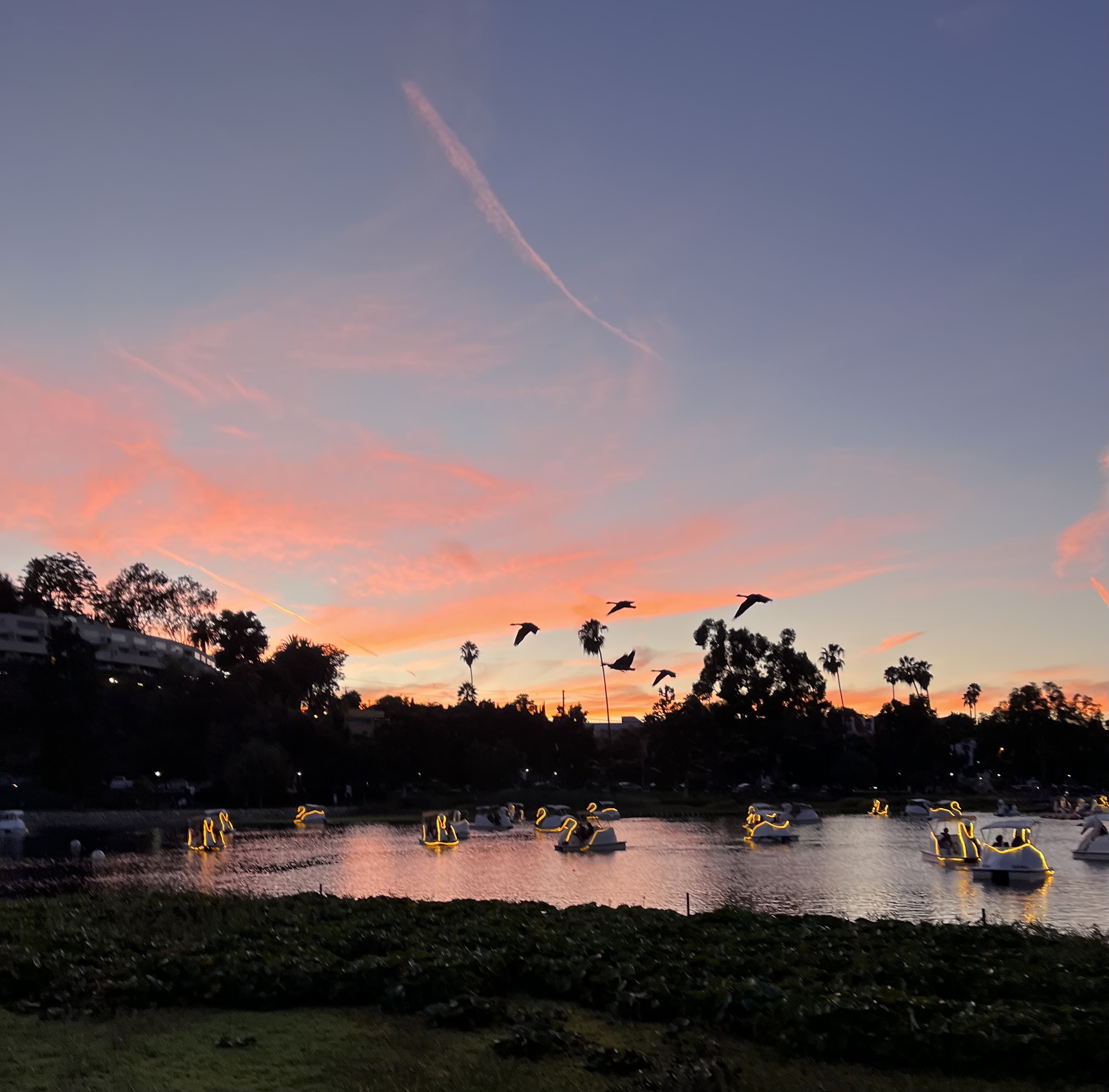 Echo Park Lake