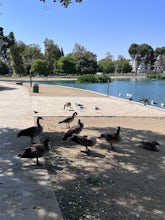 Reseda Pond Path