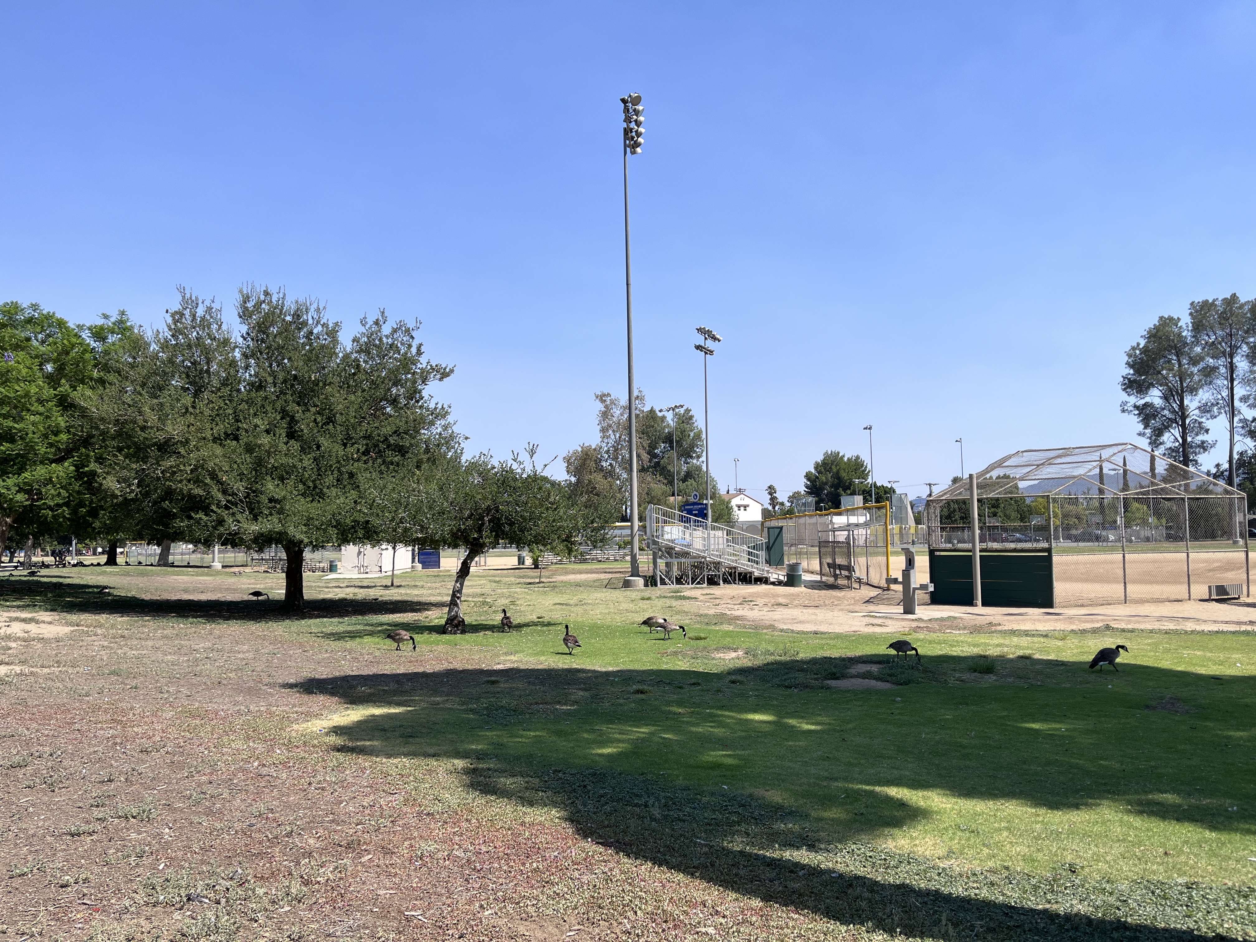 Reseda Pond Path