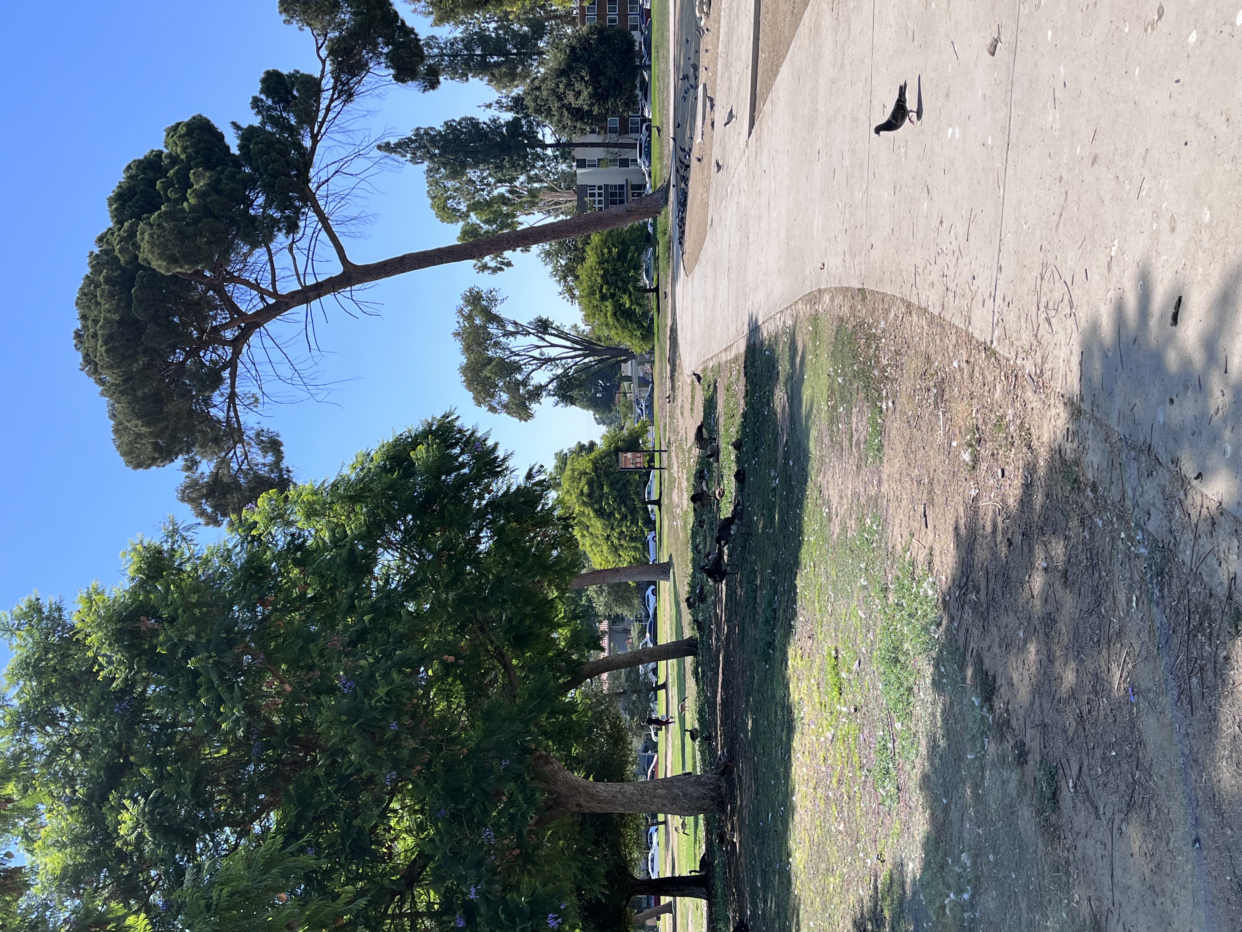Reseda Pond Path