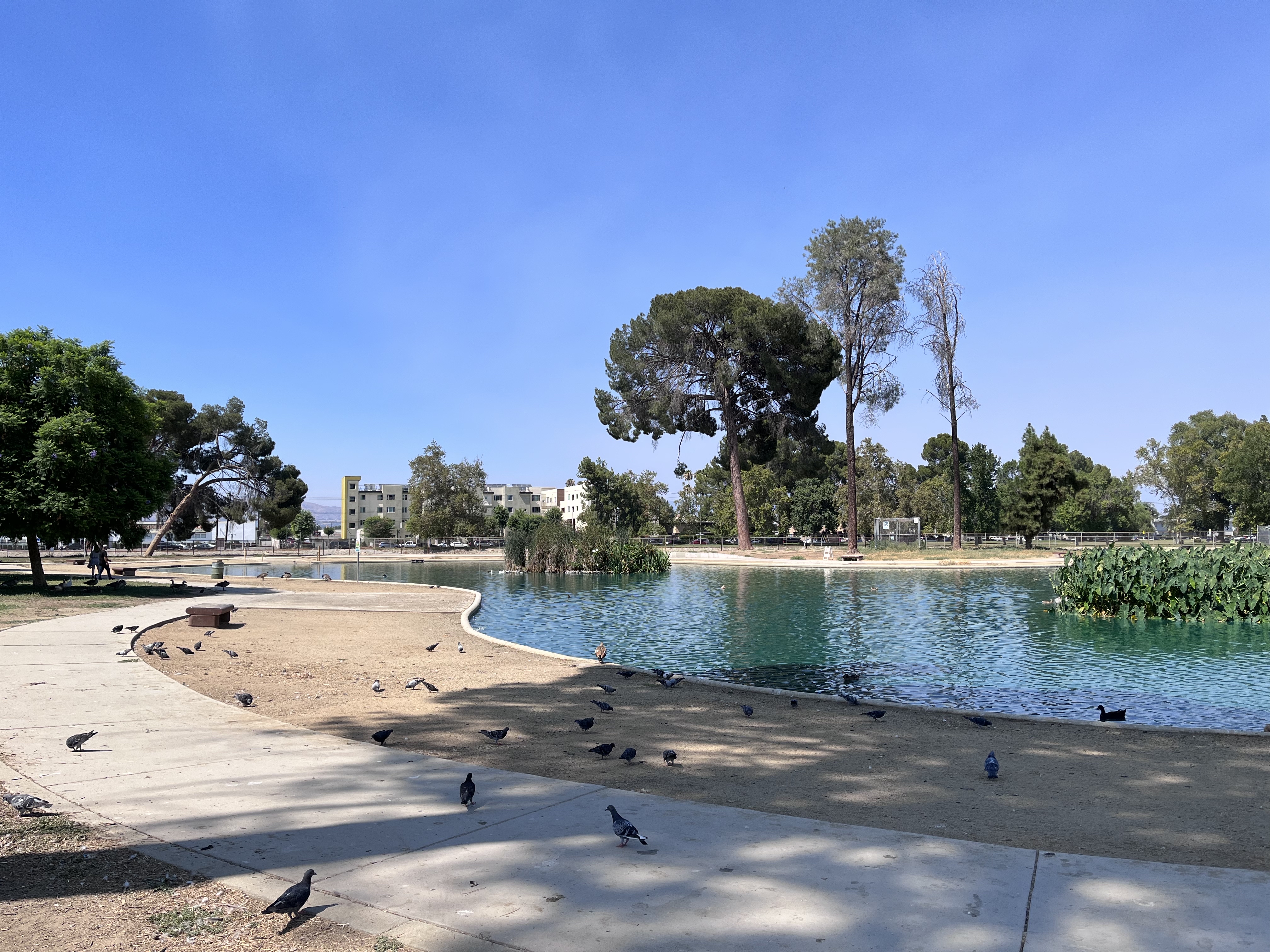 Reseda Pond Path