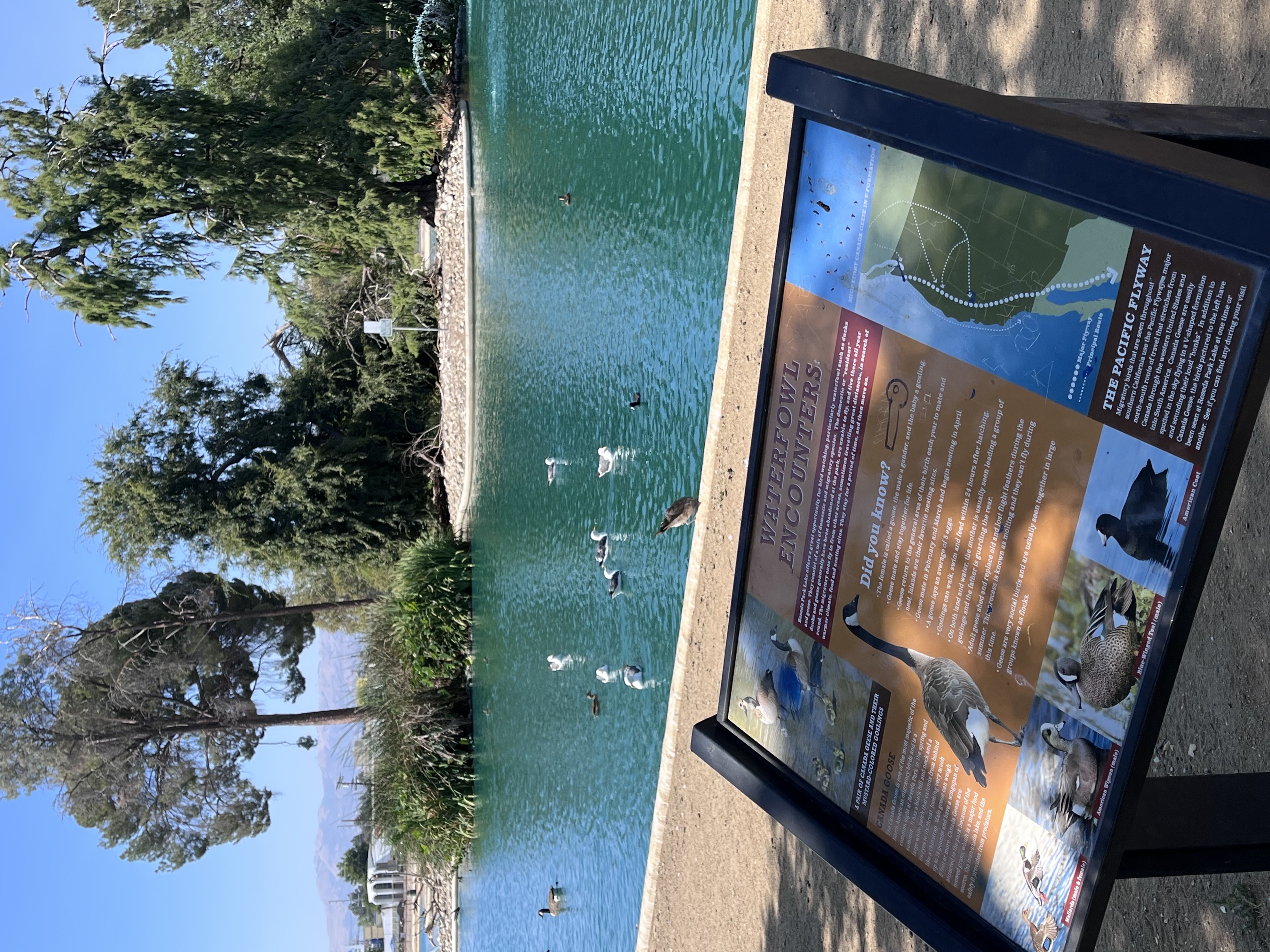 Reseda Pond Path