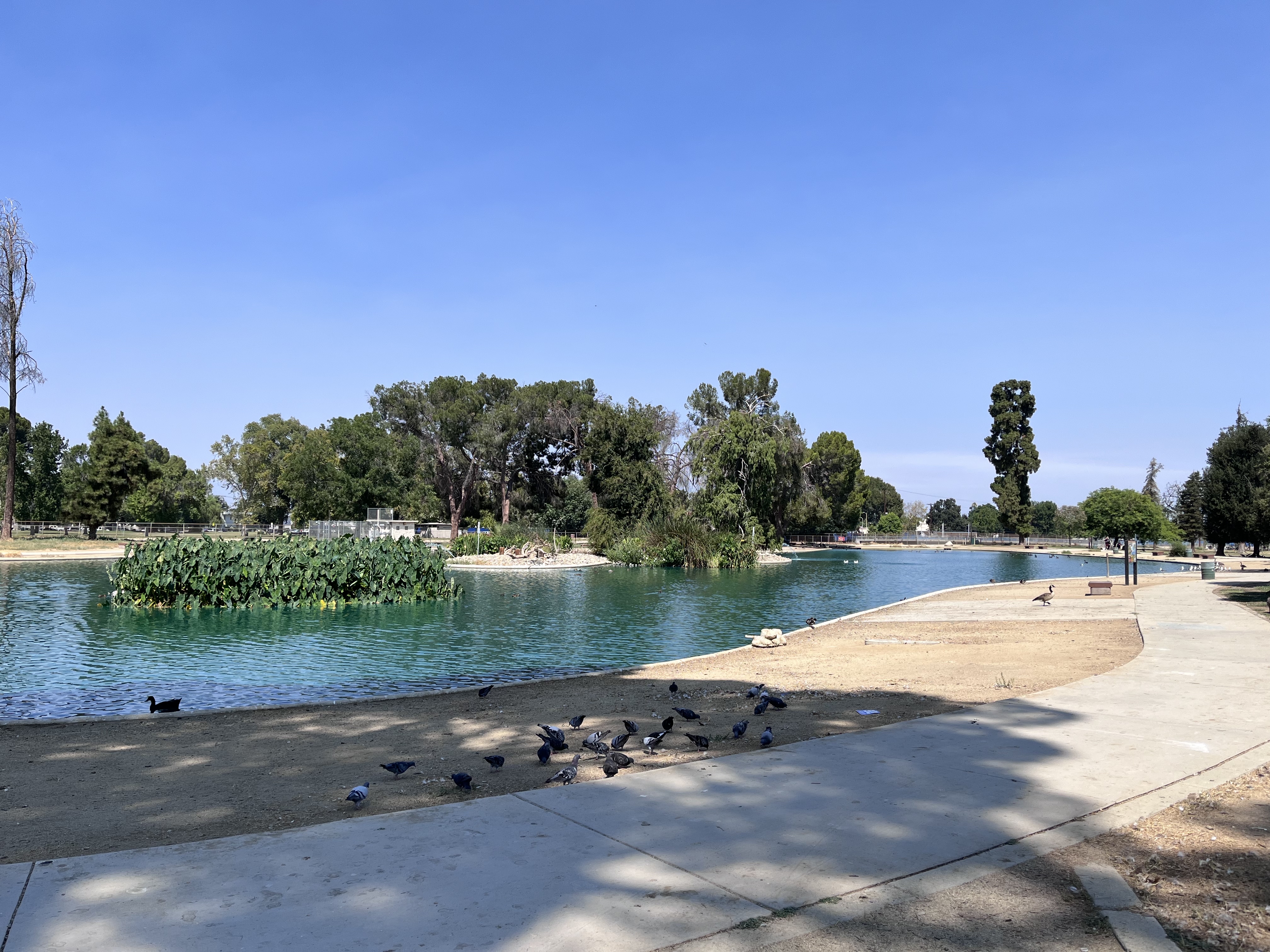 Reseda Pond Path