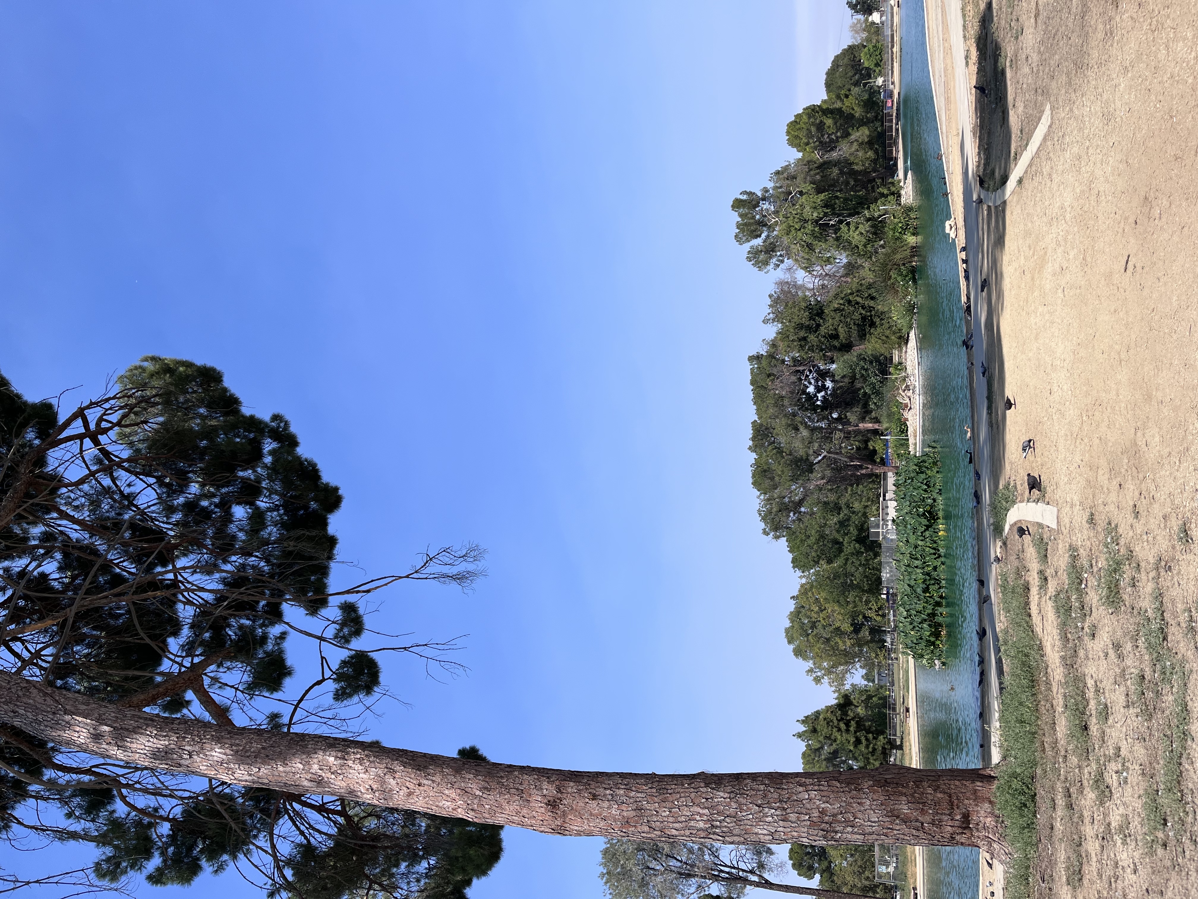Reseda Pond Path