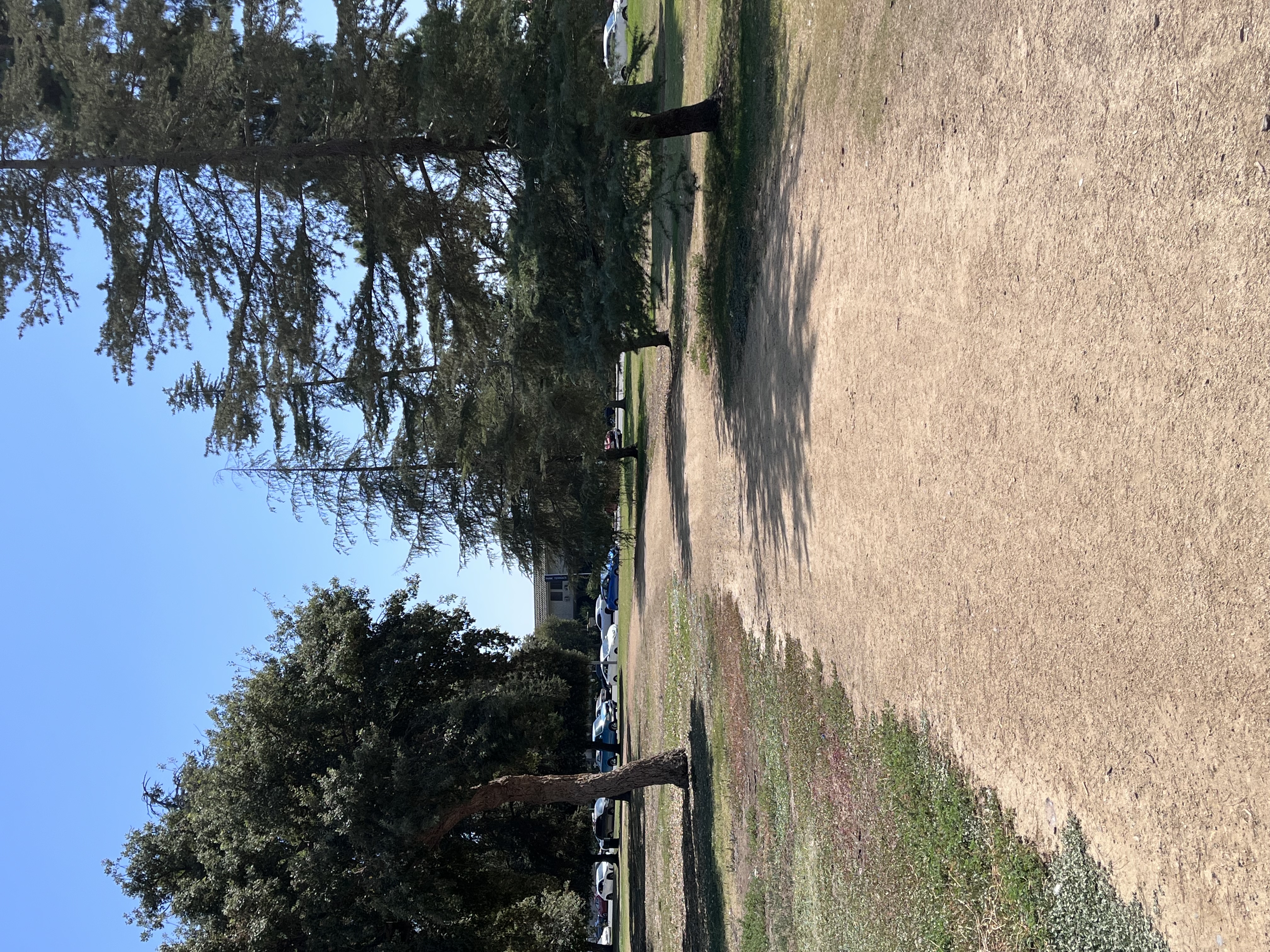 Reseda Pond Path