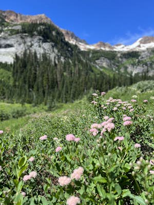 Spider Meadow Trail
