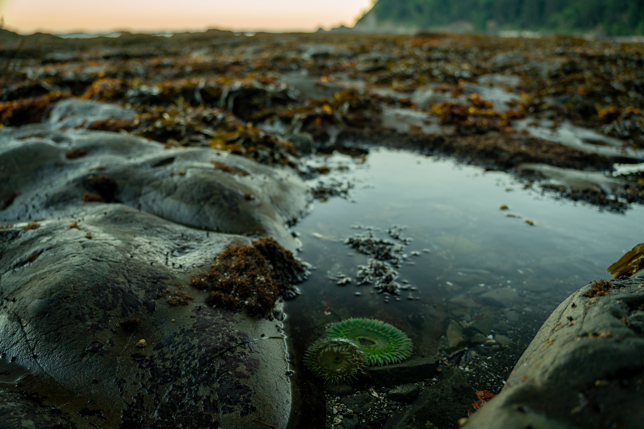 Rialto Beach and Hole-in-the-Wall