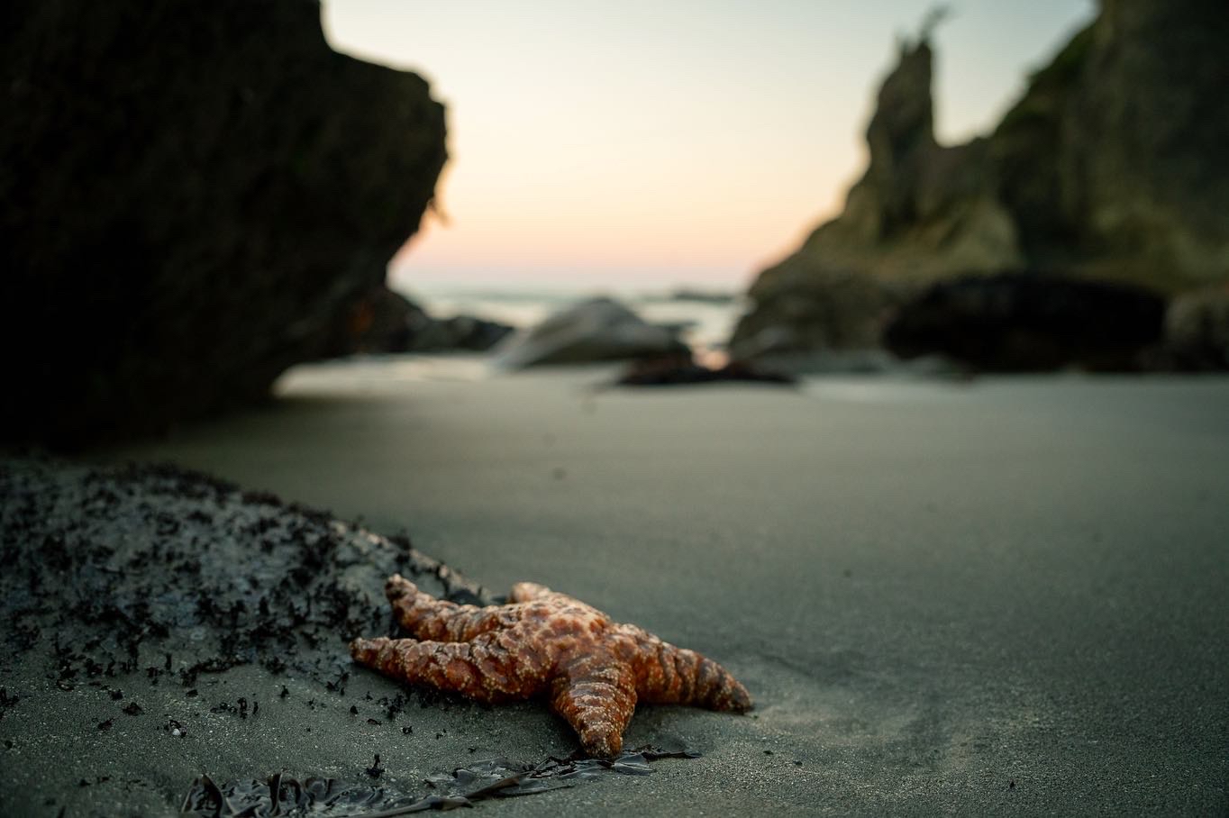 Rialto Beach and Hole-in-the-Wall
