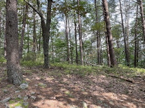 Mountainside Loop Trail