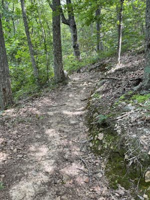 Mountainside Loop Trail