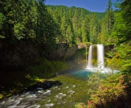 Koosah Falls Trail