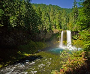 Koosah Falls Trail