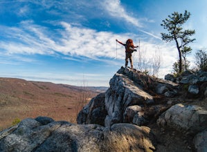 Tibbet Knob Trail from Wolf Gap Campground