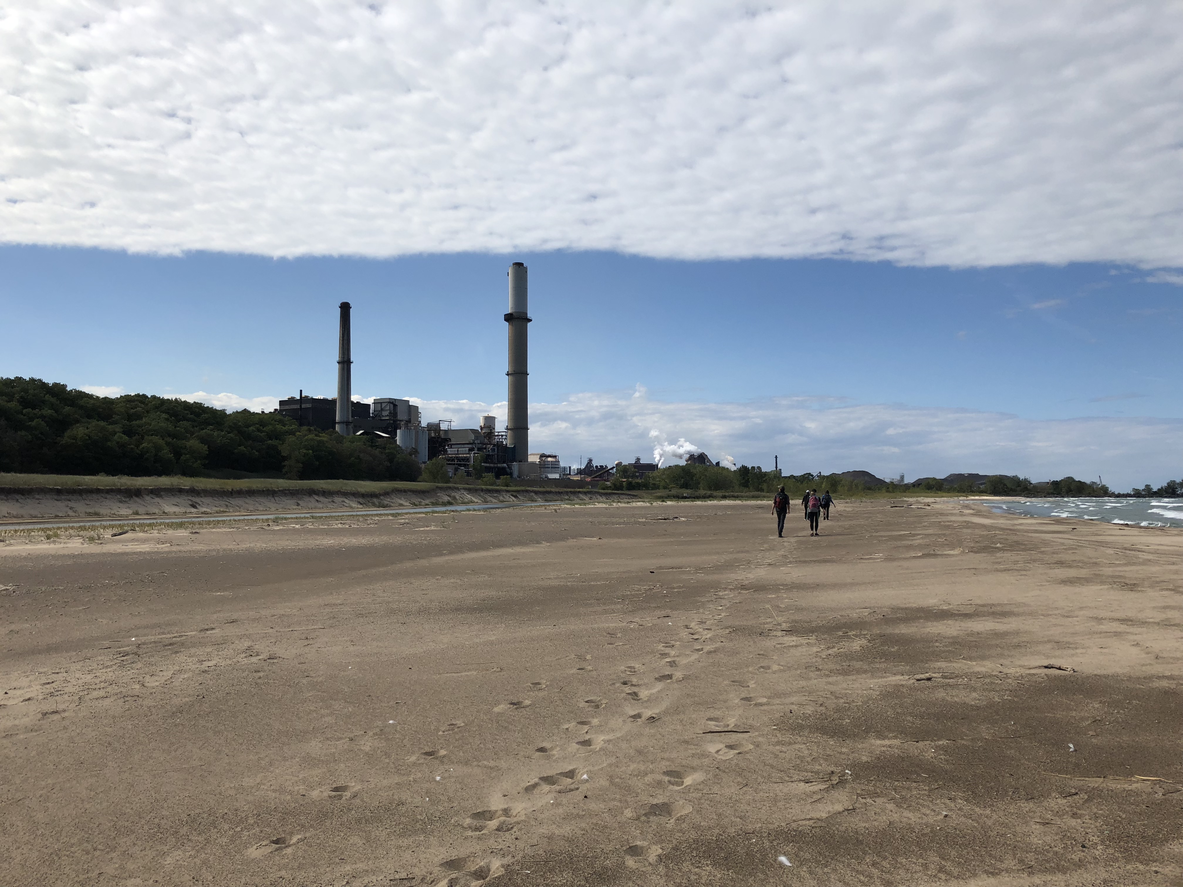 Hike the Cowles Bog Trail, Indiana Dunes National Lakeshore