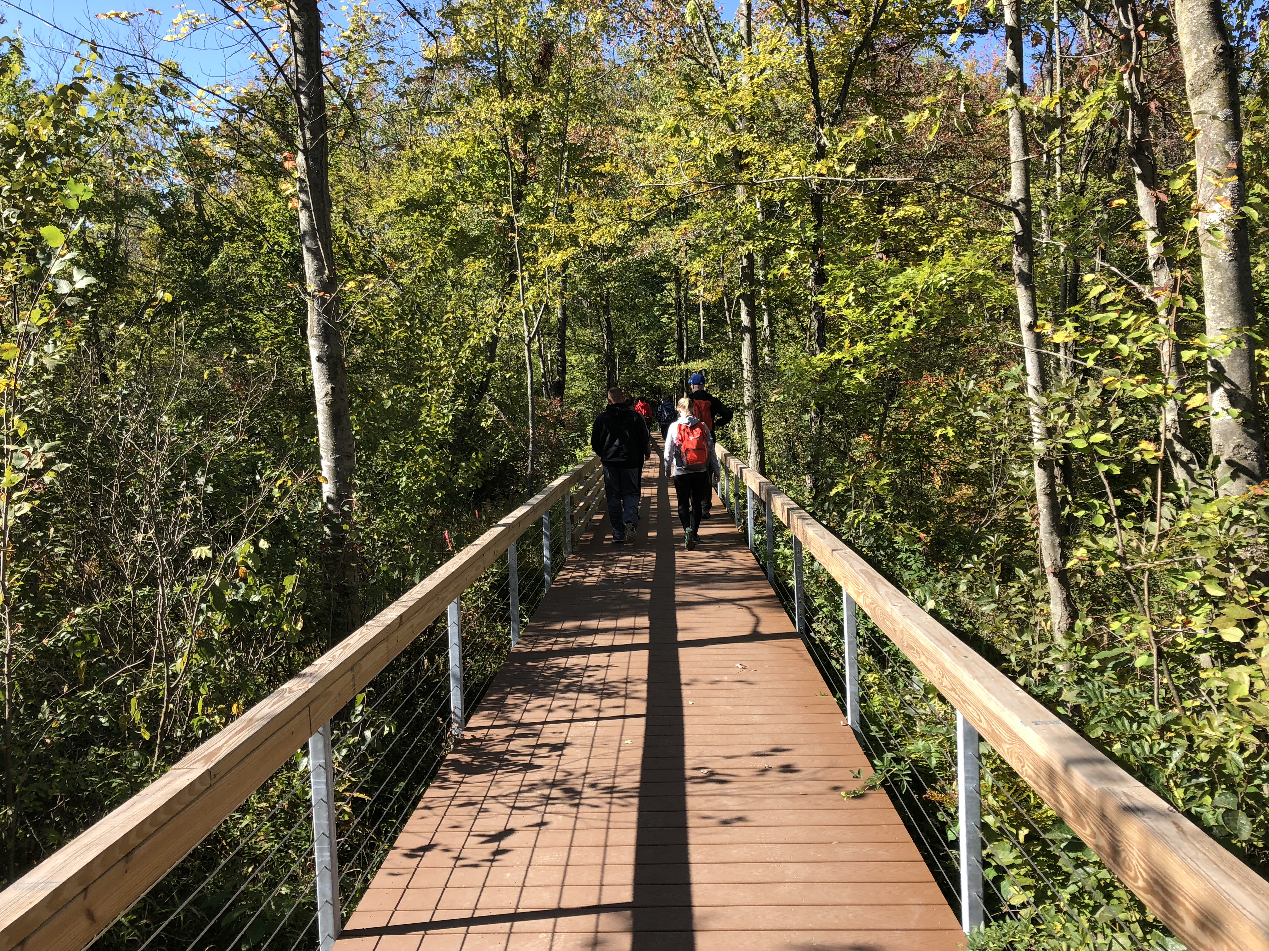 Hike the Cowles Bog Trail, Indiana Dunes National Lakeshore