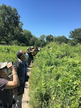 How to get into birding: Q&A with Feminist Bird Club