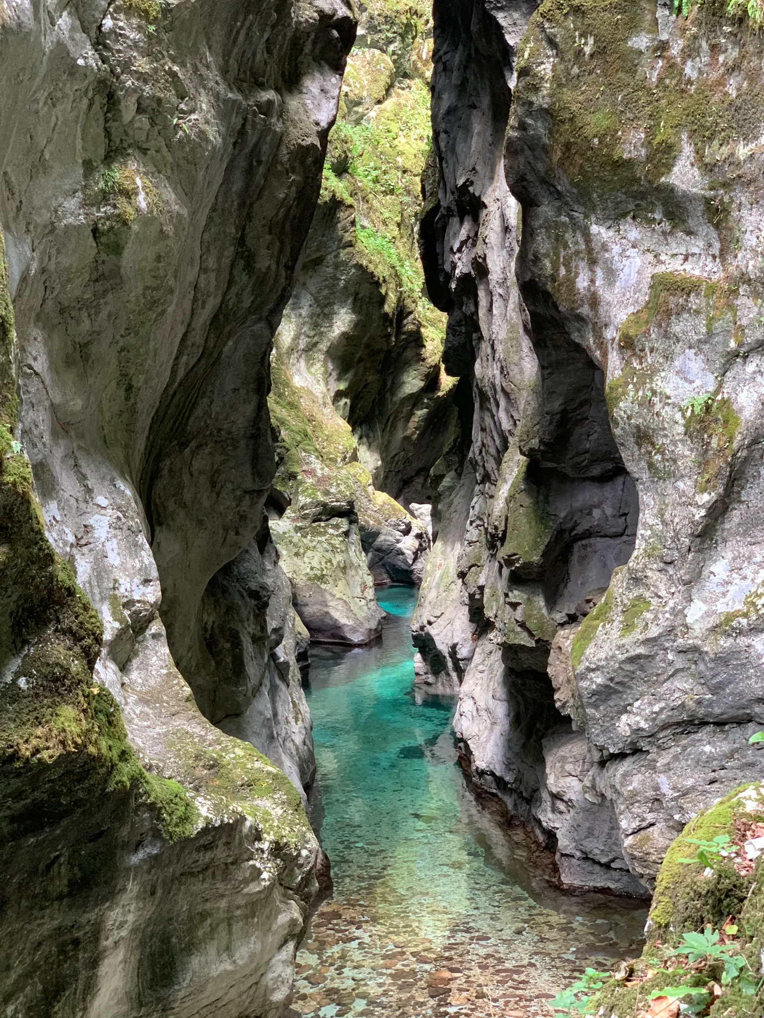 Tolmin Gorge