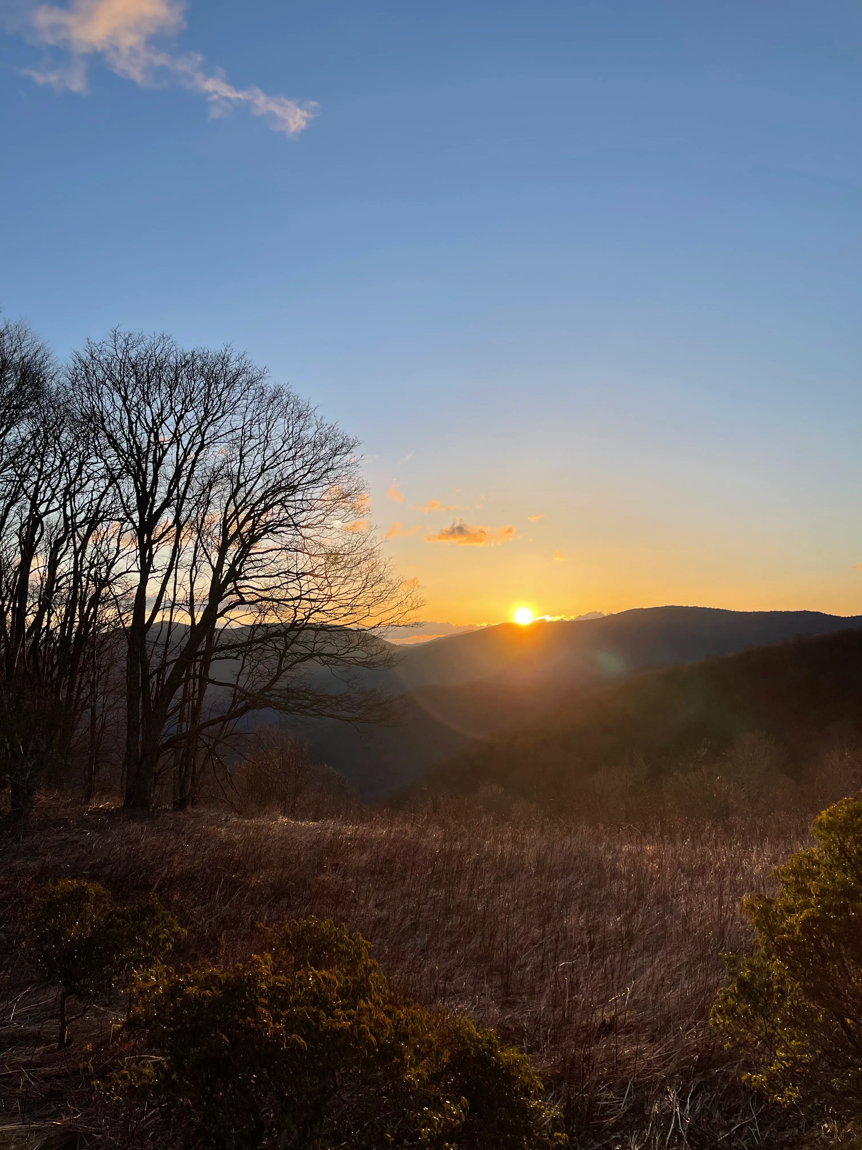 Drive the Blue Ridge Parkway from the Southern Terminus