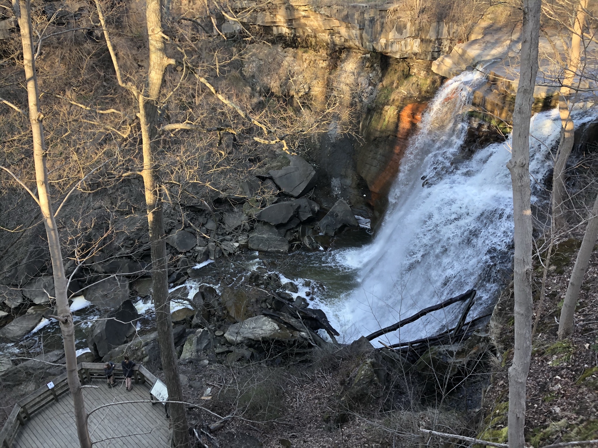 Brandywine Falls