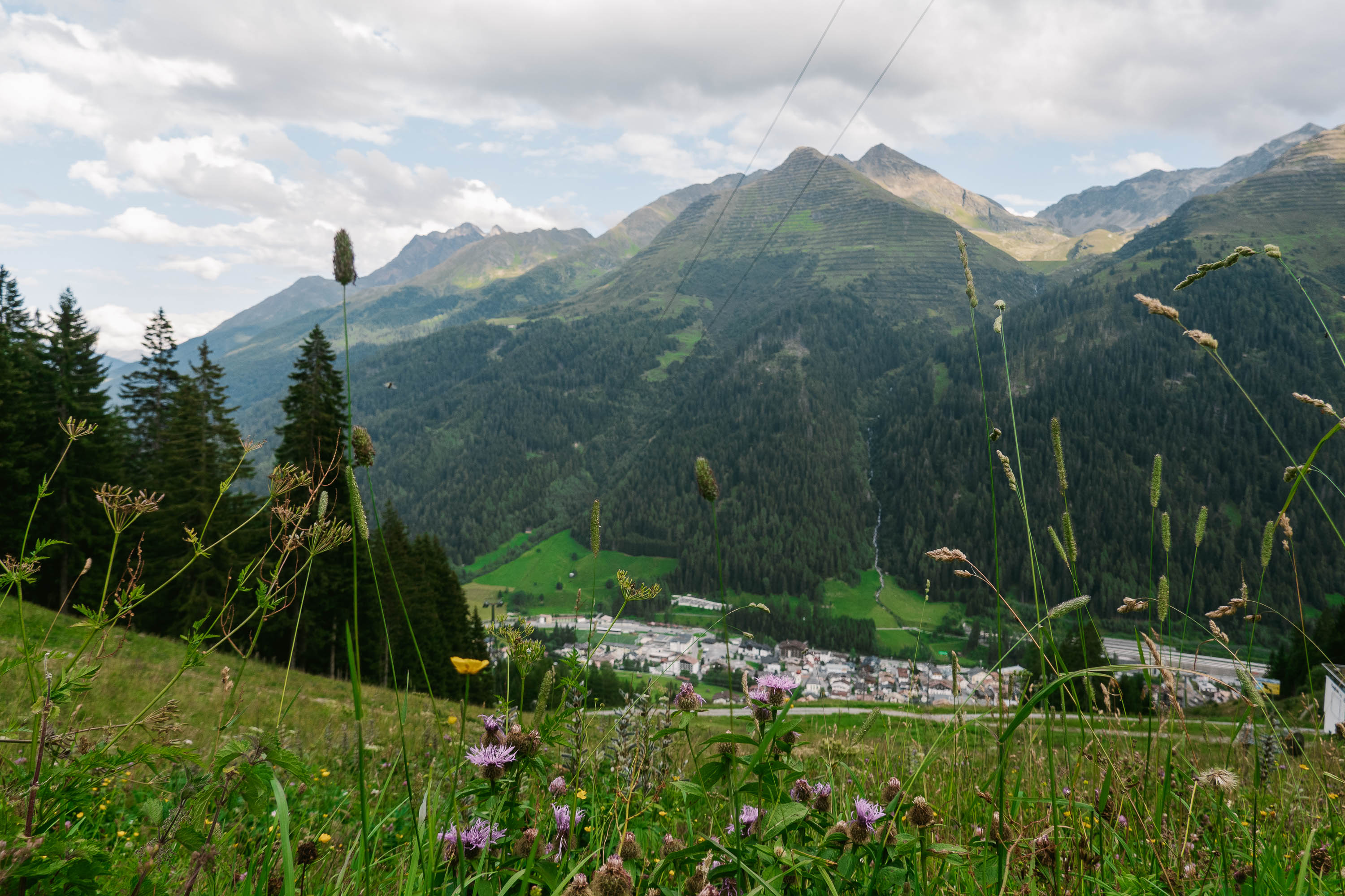 Arlenweg Loop