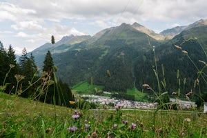 Arlenweg Loop