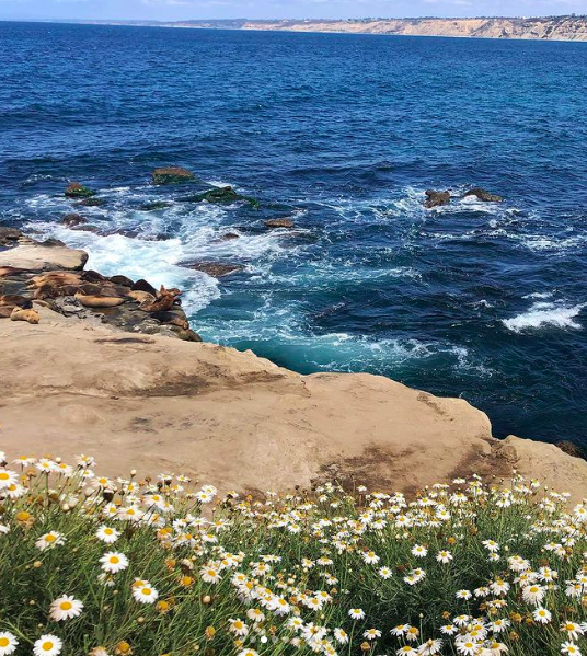La Jolla Cove