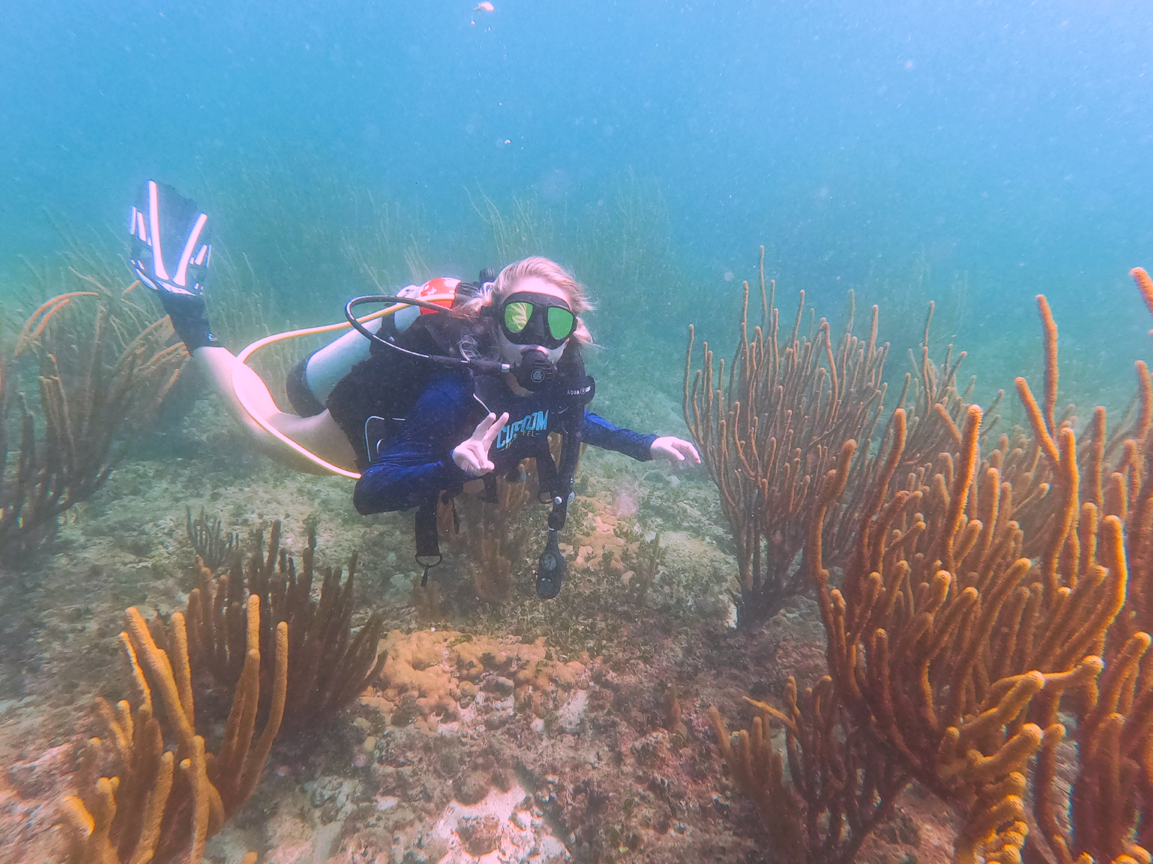 Shore Dive Vista Park Reef 