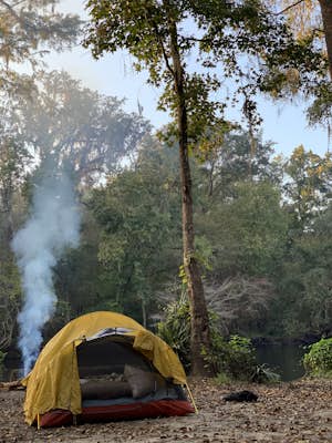 Camp at Ginnie Springs 