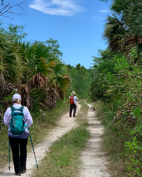 Dupuis Reserve State Forest Trail