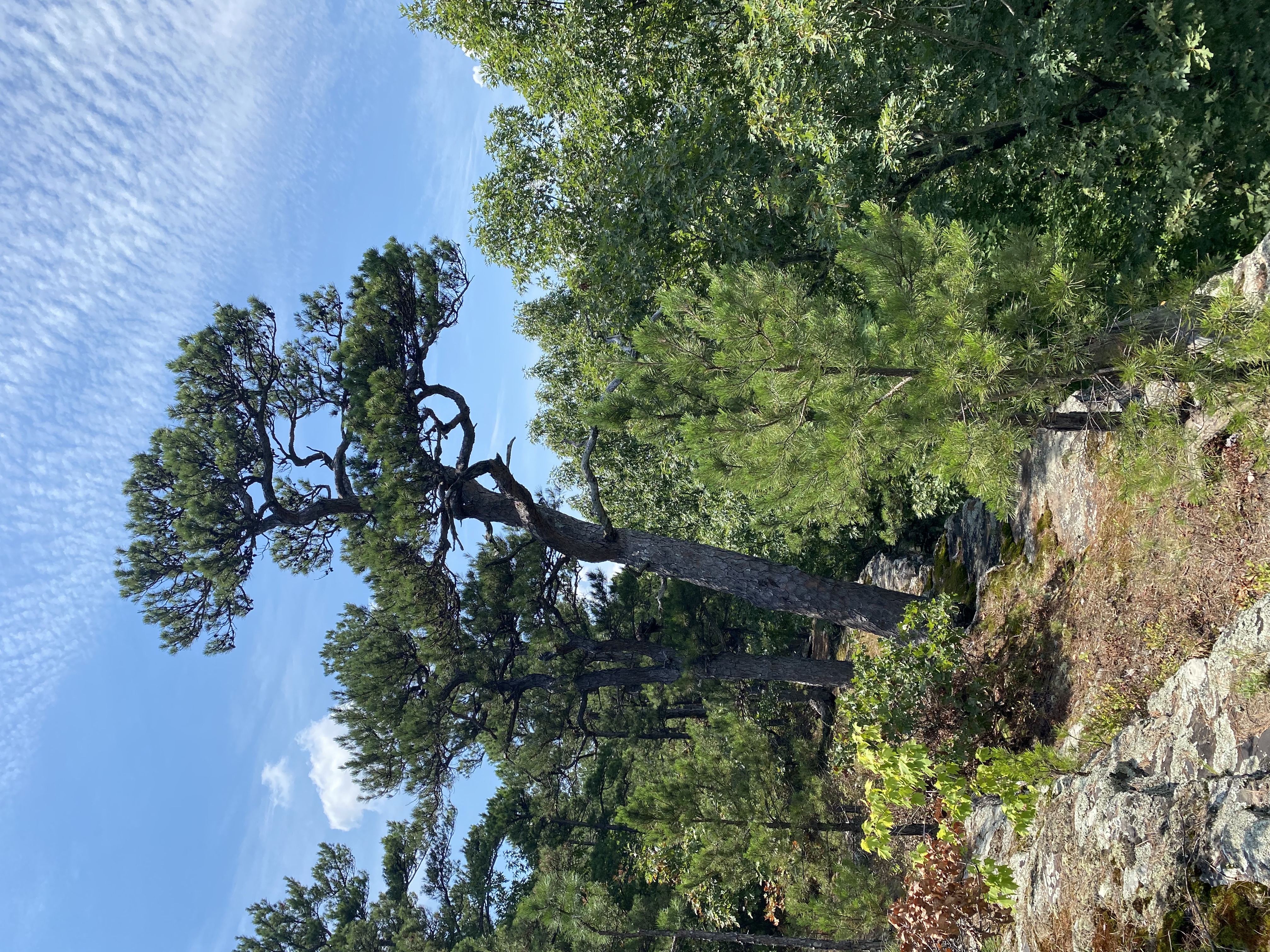 Owens Mountain Bluffs Trail