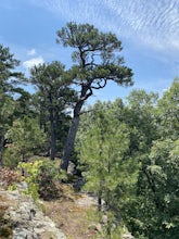 Owens Mountain Bluffs Trail