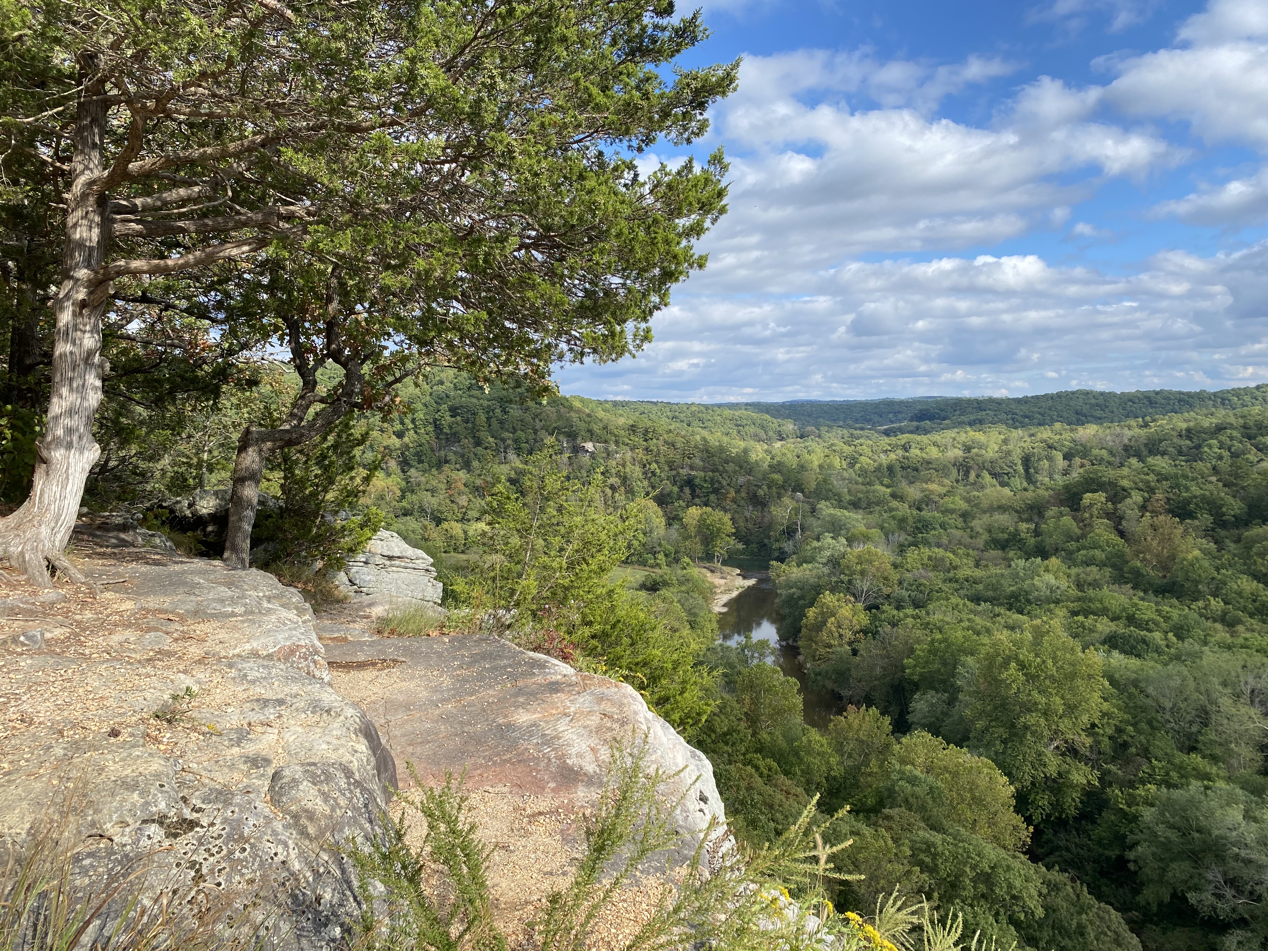 Kings River Overlook