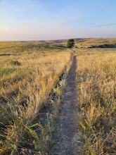 Sperati Point via Achenbach Trail