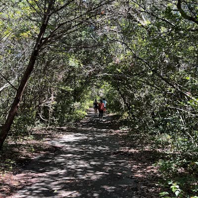 Hoop Pole Creek Nature Preserve Trail