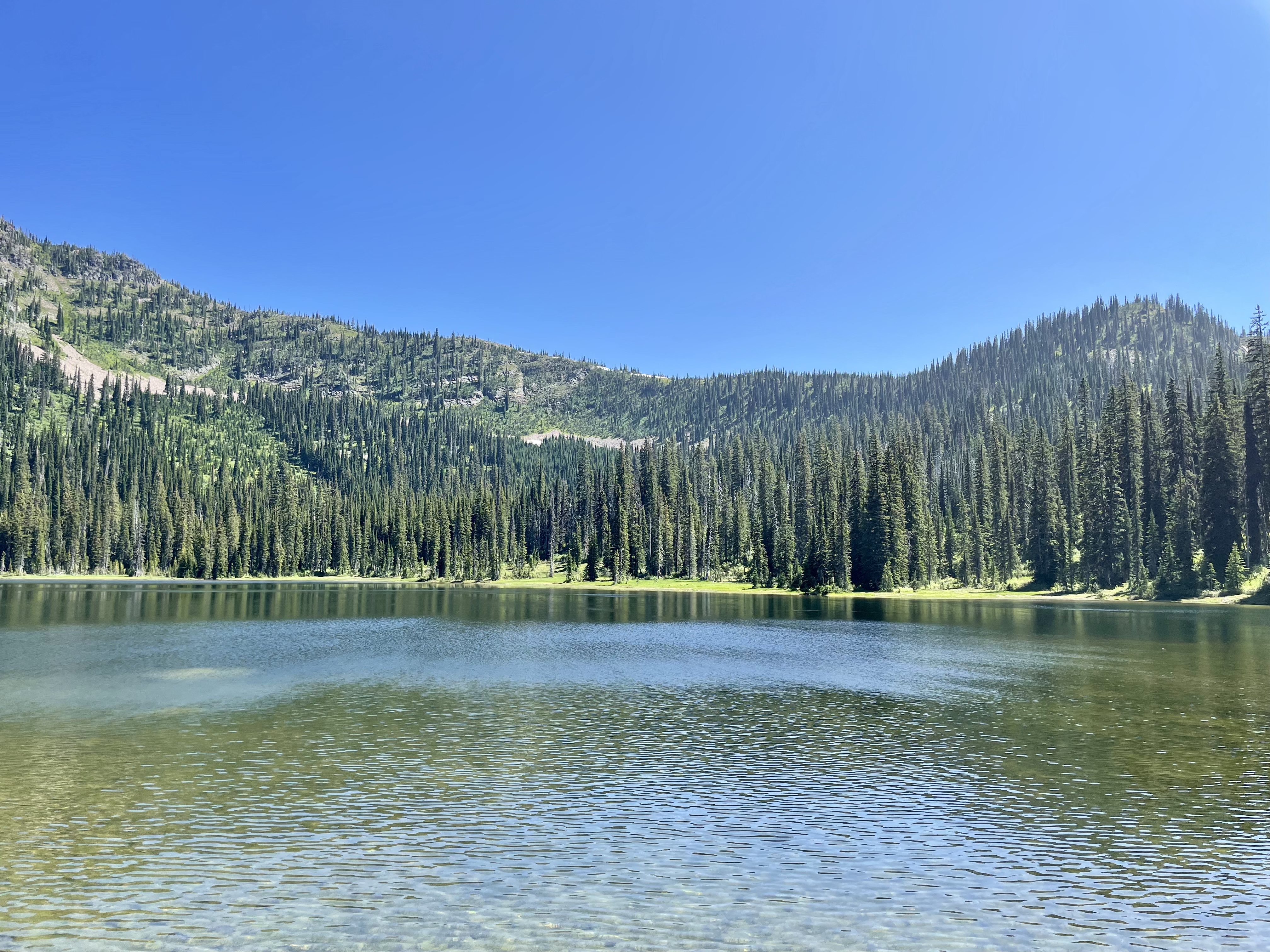 Moose Lake Trail, Sandpoint, Idaho