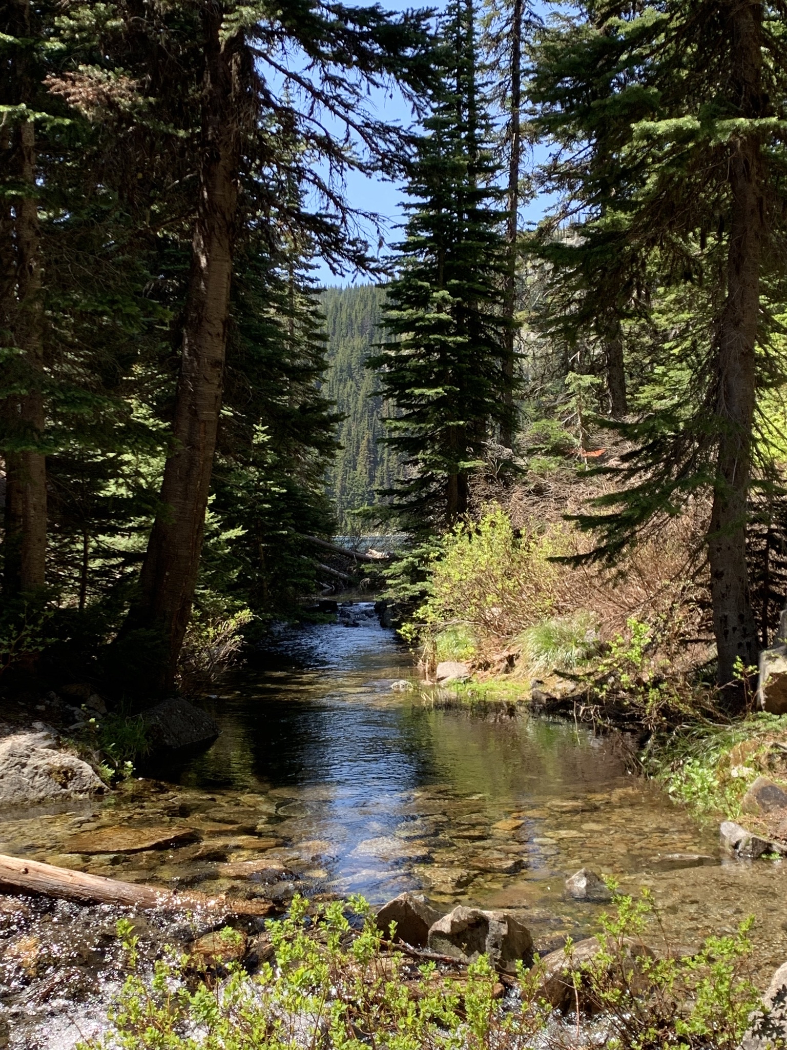 Blossom Lakes Trail