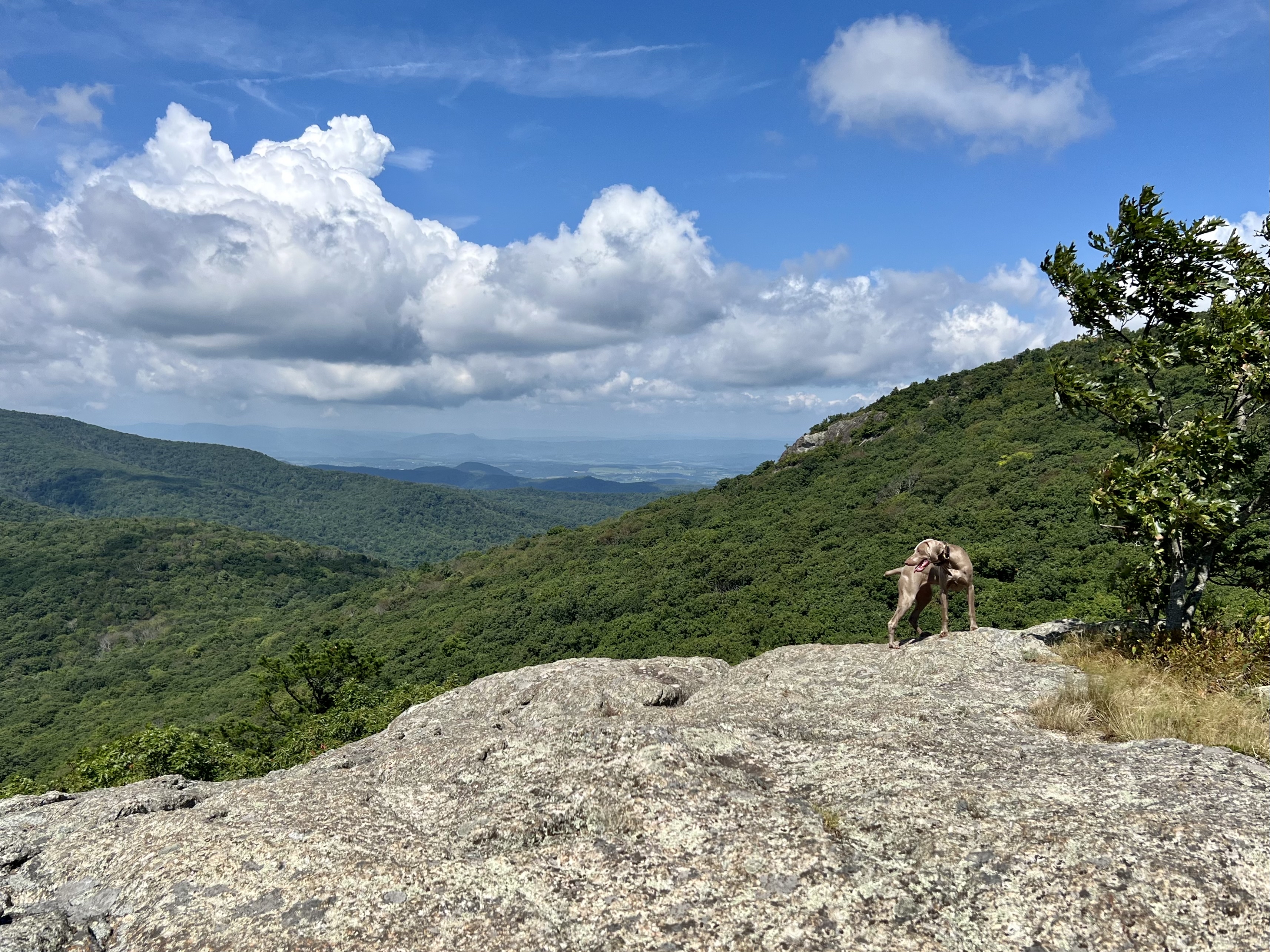Spy Rock via Cash Hollow