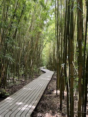 Hike the Pipiwai Trail to Waimoku