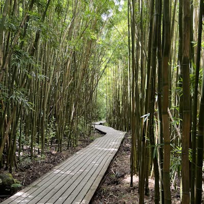 Hike the Pipiwai Trail to Waimoku