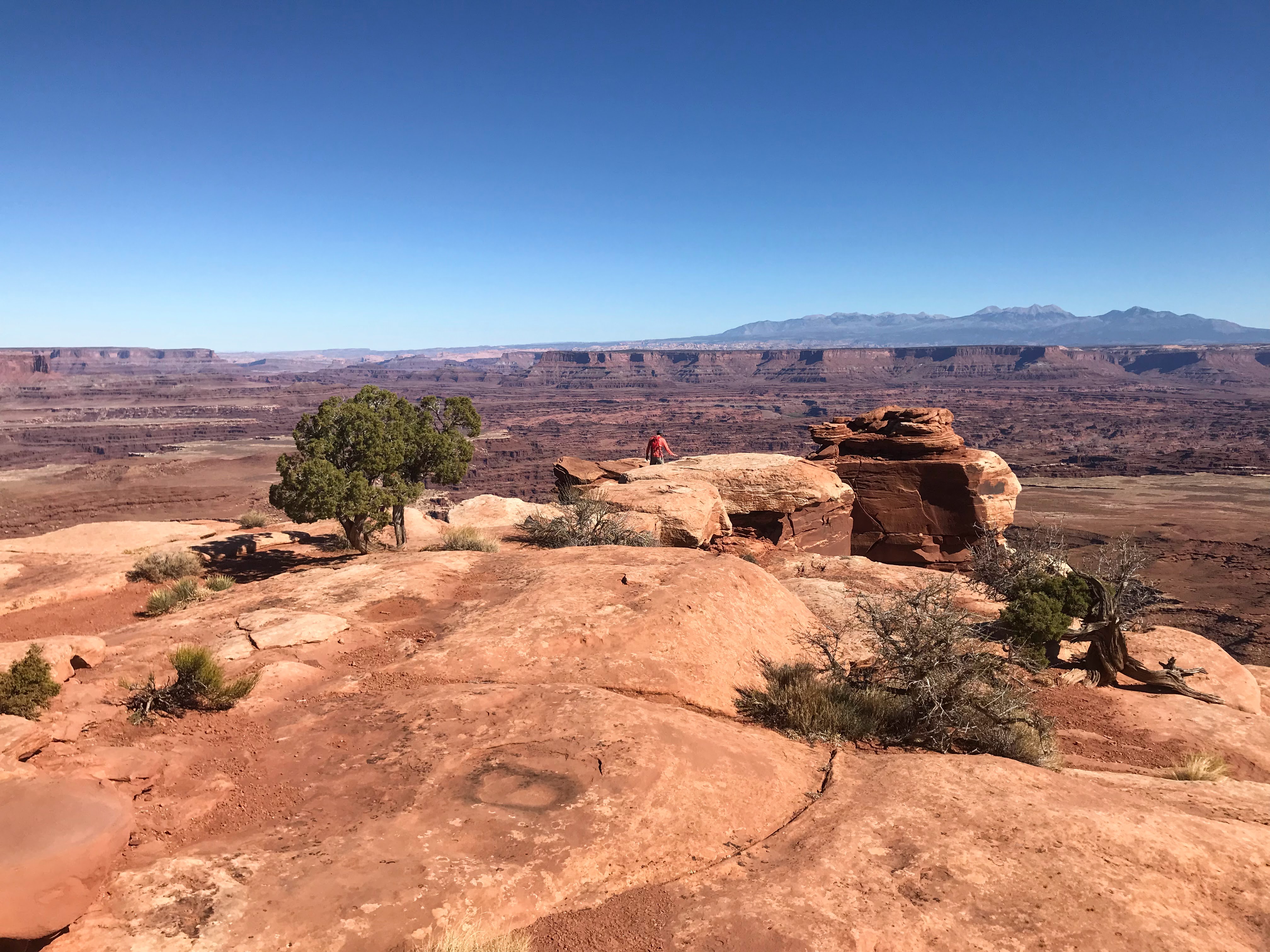 Hike the White Rim Overlook