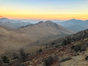 Walker Pass Campground Trail