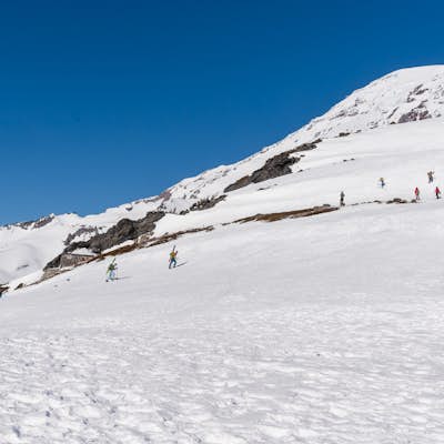 Snowshoe to Panorama Point Mount Rainier National Park