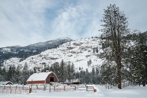 Cross Country Ski from the Mazama Trailhead