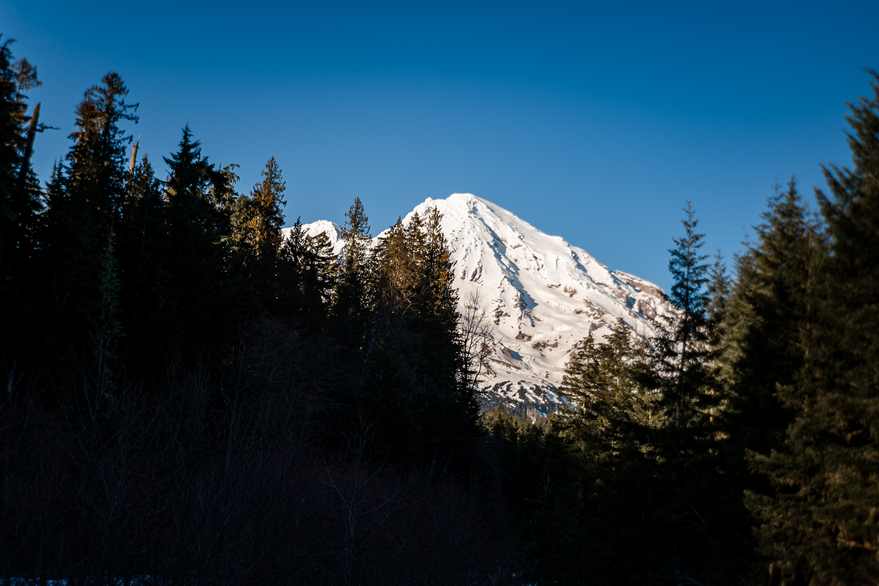 Panorama Point and Alta Vista Loop