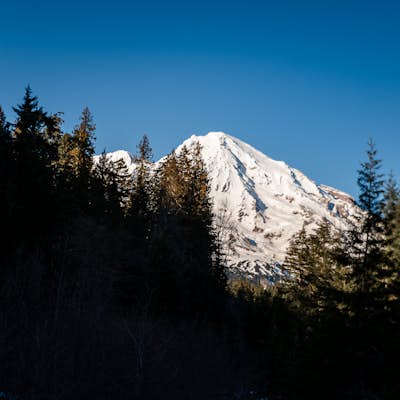 Snowshoe to Panorama Point Mount Rainier National Park