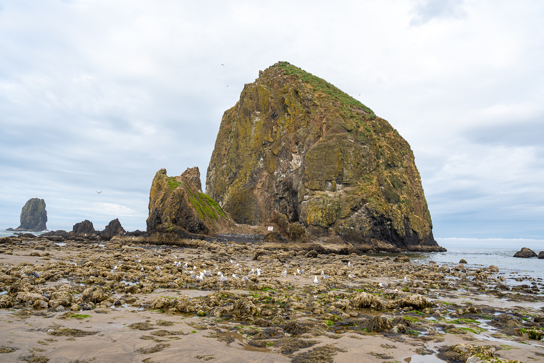 Cannon Beach 