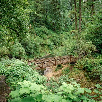 Trail of Ten Falls Loop